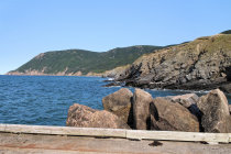 website595039.jpg