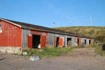 website595040.jpg