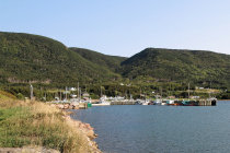 website595041.jpg