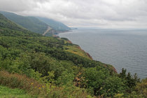 website596003.jpg