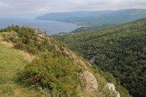 website596042.jpg