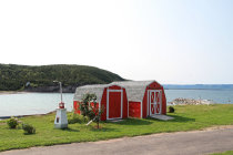 website596050.jpg