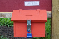 website597030.jpg