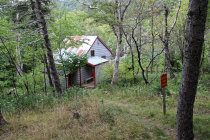 website597037.jpg