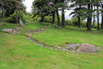 website597039.jpg