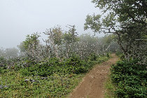 website598030.jpg