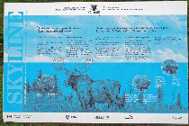 website598037.jpg