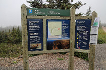 website598039.jpg