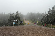website598040.jpg