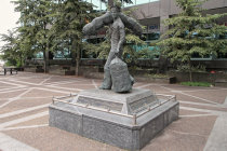website599043.jpg