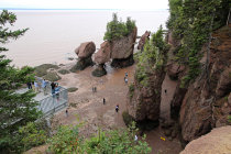website600049.jpg