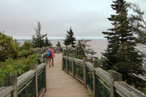 website600052.jpg
