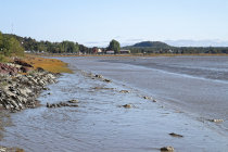 website604032.jpg