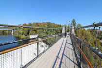 website607044.jpg