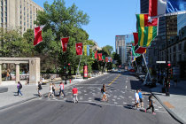 website614049.jpg