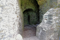 website647049.jpg