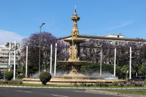 website681040.jpg