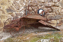 website695028.jpg