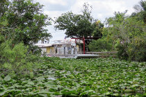 website720043.jpg