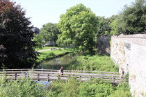 website729005.jpg