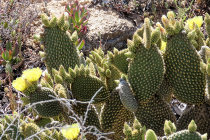 website763036.jpg