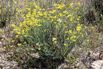 website763043.jpg