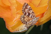 website781040.jpg