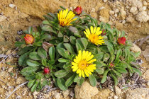 website783046.jpg
